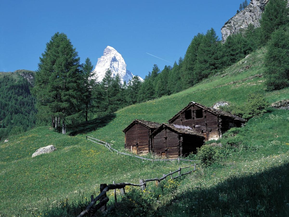 Apartment Sungold-1 By Interhome Zermatt Dış mekan fotoğraf