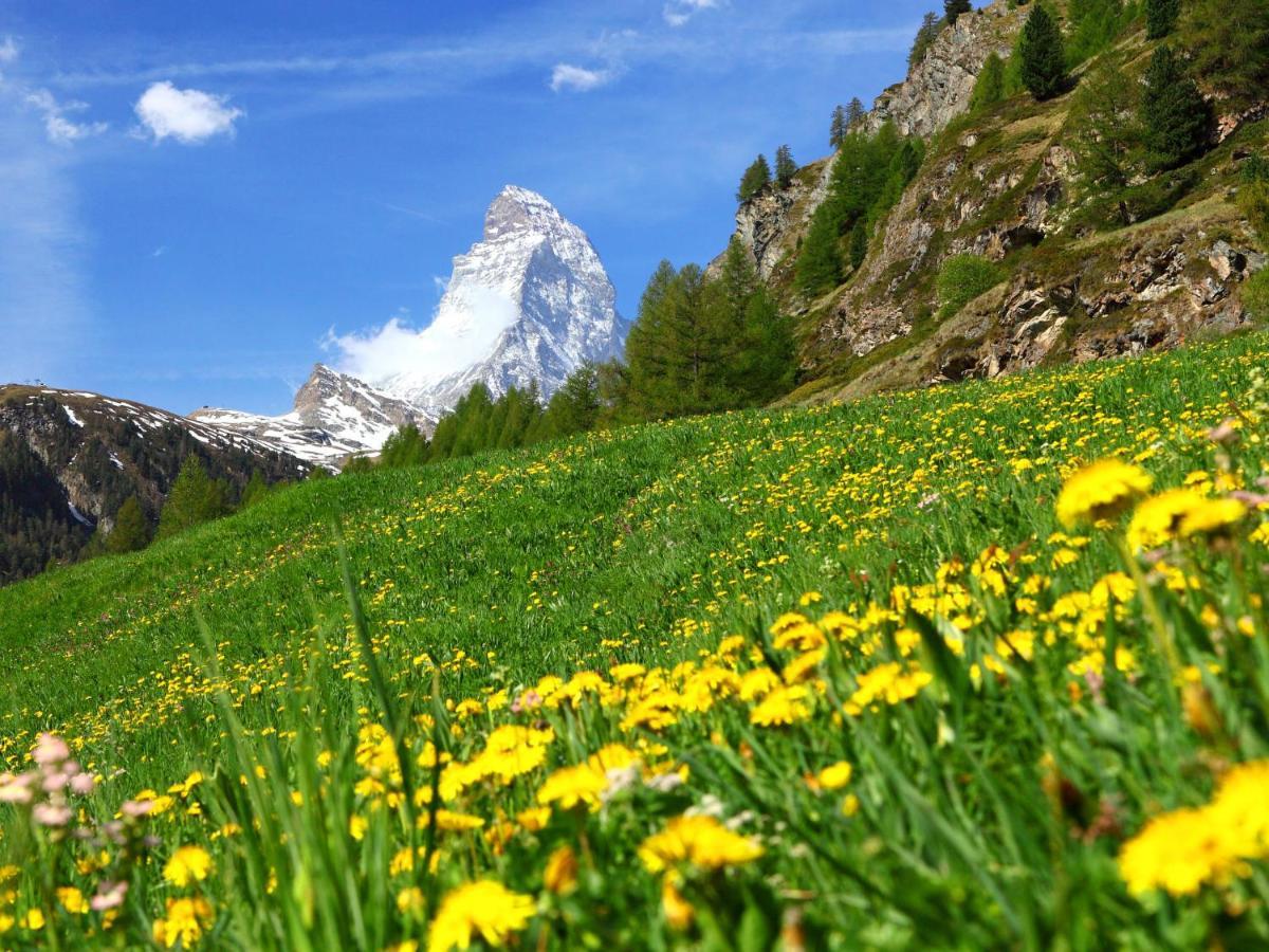 Apartment Sungold-1 By Interhome Zermatt Dış mekan fotoğraf
